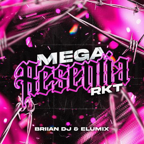Mega Resentia (feat. BRIIAN DJ)