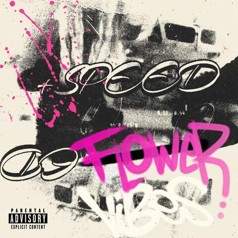 +SPEEDED