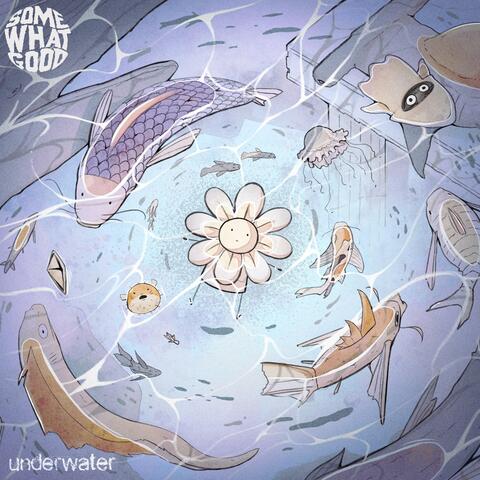 Somewhat Good: Underwater