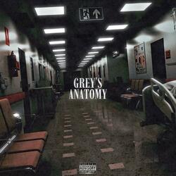 Grey's Anatomy (feat. Lij3tk, Jaaybandz & Babymargiela)