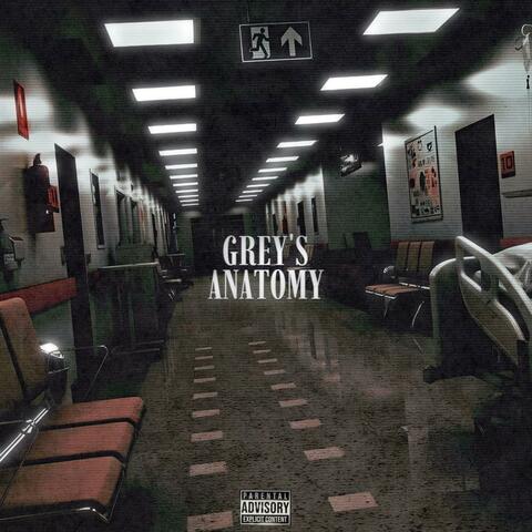 Grey's Anatomy (feat. Lij3tk, Jaaybandz & Babymargiela)