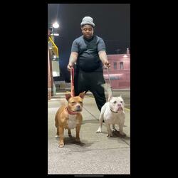WHO GONE STOP US (SLUGGA BOO BALLA)