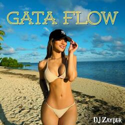 Gata Flow