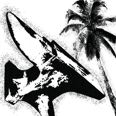 Rotor