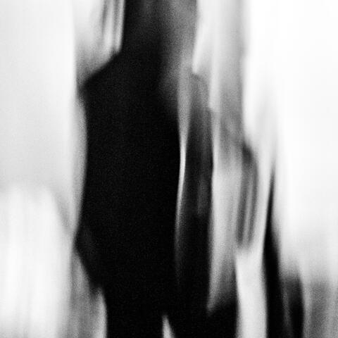 I BUILT THIS EMPTY HOUSE FULL OF MIRRORS
