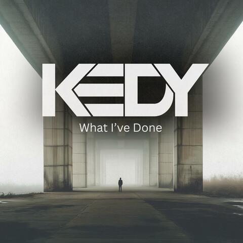 What I've Done (Techno Mix)