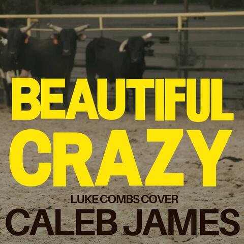Beautiful Crazy