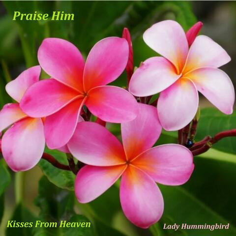 Praise Him