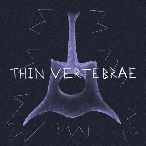 thin vertebrae