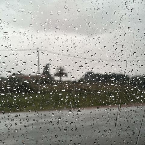 Calm Within the Storm