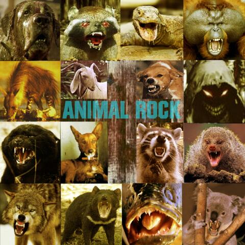 Animal Rock