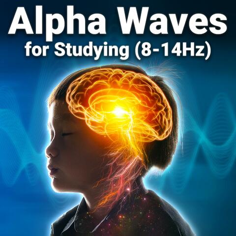 Alpha Waves for Studying (8-14Hz)