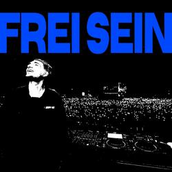 FREI SEIN (feat. L $ Q)