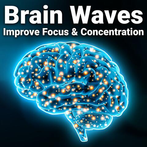 Brain Waves: Improve Focus and Concentration While Working and Studying