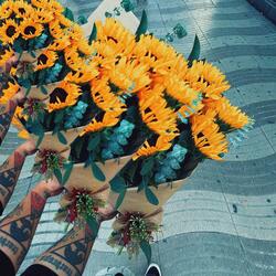 Girasol