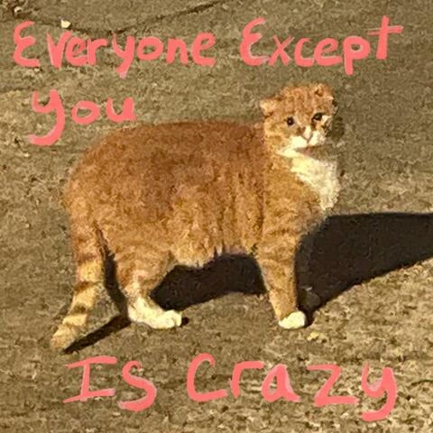 Everyone Except You is Crazy