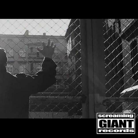 ისევ ისე