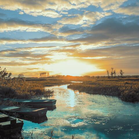 Peace Like a River