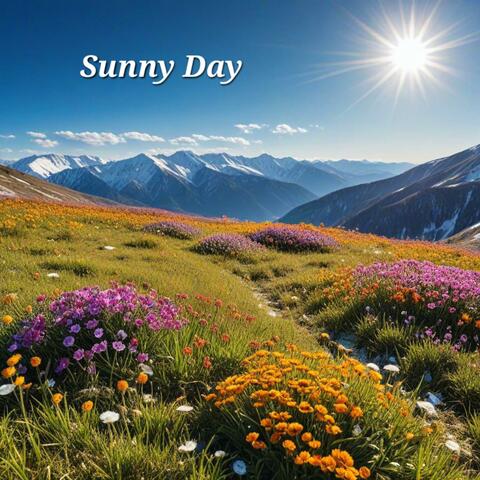 Sunny Day
