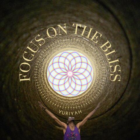 Focus on the Bliss