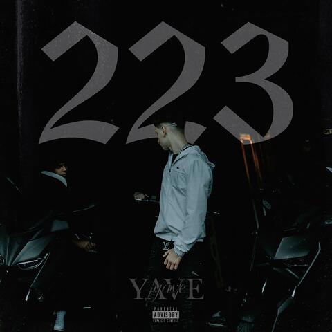 223
