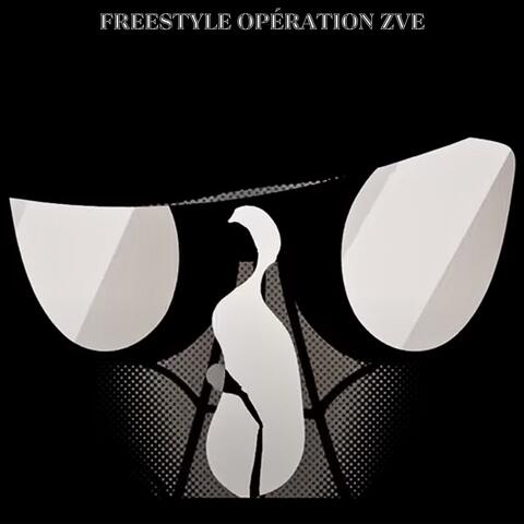 Freestyle opération ZVE