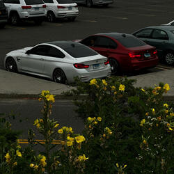 Miss Her (feat. Websta)