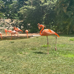 Stressed (feat. Nate dizzl)