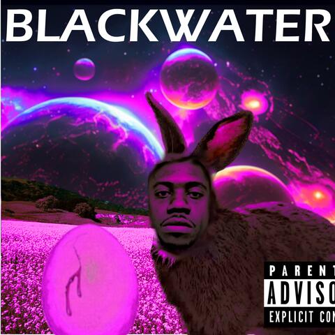 BLACKWATER 2