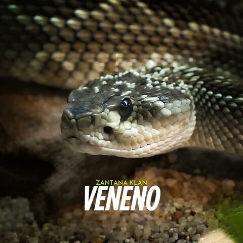 VENENO