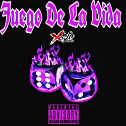 Juego De La Vida