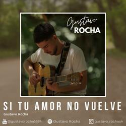 Si Tu Amor No Vuelve