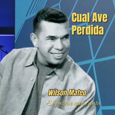 Cual Ave Perdida