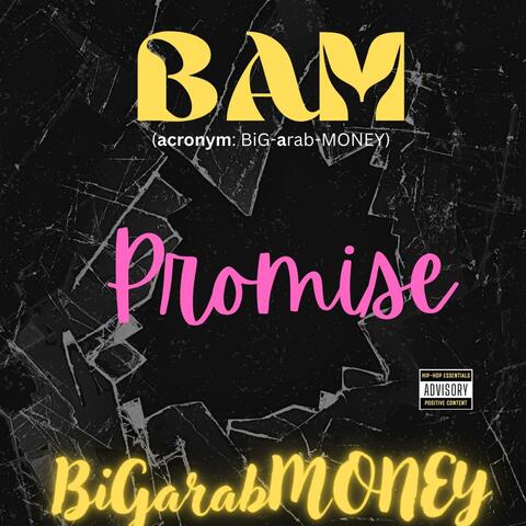 Promise