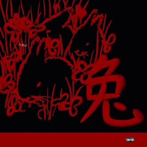 RABBIT NEW52 (DELUXE)