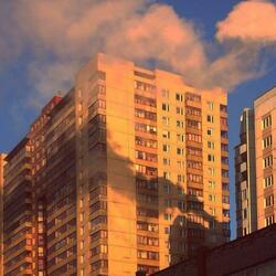 Spring mornings