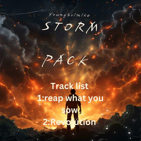 Storm pack