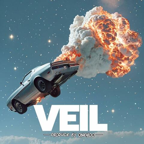VEIL (MAN OF MAN)