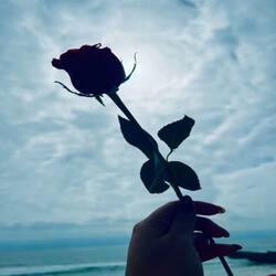 Desde el cielo, con amor eterno