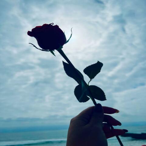 Desde el cielo, con amor eterno