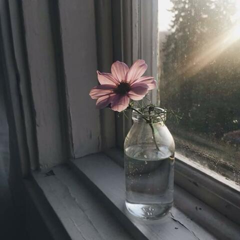 Echoes of the Soul