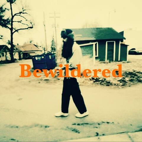 Bewildered