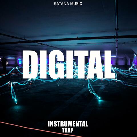 Digital (Instrumental Trap)