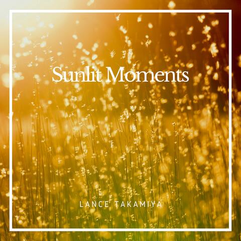 Sunlit Moments