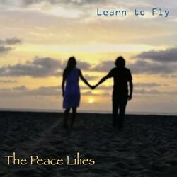 Learn to Fly