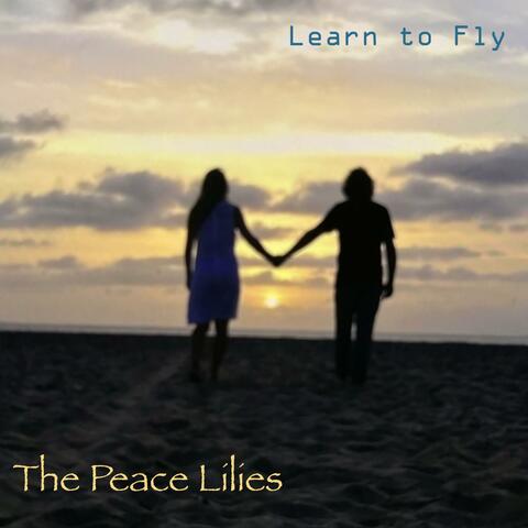 Learn to Fly