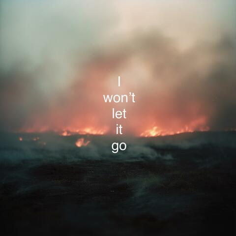 I Won't Let it Go