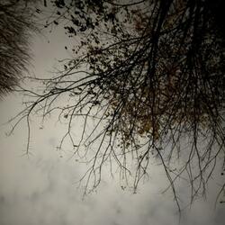 Pyromancer (feat. XxLucaiiXx)