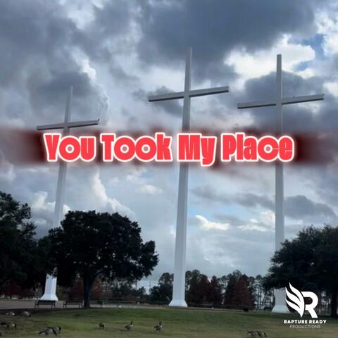 You Took My Place