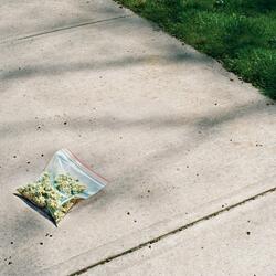 Weed Song